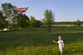 Little boy holds a kite on a green meadow