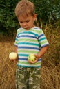 A little boy holds one ripe apple and one spoiled one. A difficult choice between good and spoiled. Organic Gardening