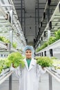 A little boy on a hydroponics farm holds fresh salad leaves. The concept of healthy food Royalty Free Stock Photo