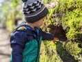 A little boy investigates a hole in the wall