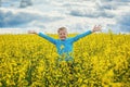 Little boy jumping for joy on a meadow in a sunny day Royalty Free Stock Photo