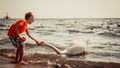 Little boy kid on beach have fun feeding swan.