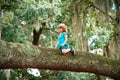 Little boy kid climbed on tree and sitting on tree branch.