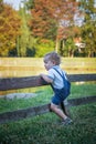 Happy little kid having fun climbing on the fence in park on warm summer day Royalty Free Stock Photo