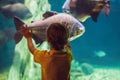 Little boy, kid watching the shoal of fish swimming in oceanarium, children enjoying underwater life in Aquarium