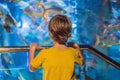 Little boy, kid watching the shoal of fish swimming in oceanarium, children enjoying underwater life in Aquarium Royalty Free Stock Photo