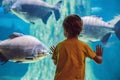 Little boy, kid watching the shoal of fish swimming in oceanarium, children enjoying underwater life in Aquarium