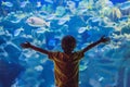 Little boy, kid watching the shoal of fish swimming in oceanarium, children enjoying underwater life in Aquarium Royalty Free Stock Photo