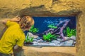 Little boy, kid watching the shoal of fish swimming in oceanarium, children enjoying underwater life in Aquarium