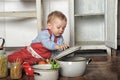 Little boy in the kitchen Royalty Free Stock Photo