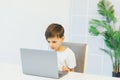 Little boy learns to work on a laptop Royalty Free Stock Photo