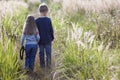 Little boy and little girl standing holding hands looking on horizont. Rear view. Royalty Free Stock Photo