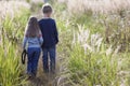 Little boy and little girl standing holding hands looking on horizont. Rear view.