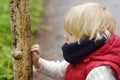 Little boy looking on big snail during hike in forest. Preschooler child explore nature. Developing outdoors activity for kids Royalty Free Stock Photo