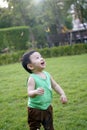 Little boy looking at the butterflies while running in the daylight garden. Royalty Free Stock Photo