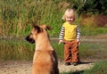 Little boy looking at a dog Royalty Free Stock Photo