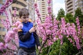 Little boy looking at flower through magnifier. Charming schoolb