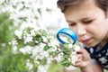 Little boy looking at flower through magnifier