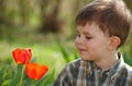Little boy looking at tulip Royalty Free Stock Photo