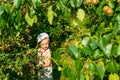 child looks out of berry bushes