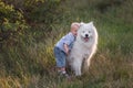 Little boy lovingly embraces white fluffy Samoyed dog. Friendship between man and animal. Traveling Royalty Free Stock Photo