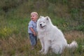 Little boy lovingly embraces white fluffy Samoyed dog. Friendship between man and animal. Traveling Royalty Free Stock Photo