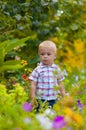 Little boy in a lush garden Royalty Free Stock Photo