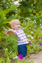 Little boy in a lush garden Royalty Free Stock Photo