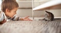 Lets be friends. A little boy lying on his bedroom floor and playing with a kitten. Royalty Free Stock Photo
