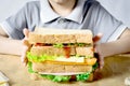 Little Boy Making a Sandwich