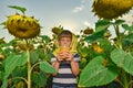 Little boy in a mask of a beekeeper with a jar of honey among sunflowers