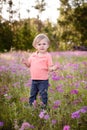 Little boy in the meadow of purple flowers on a sunny day, child in field of flowers Royalty Free Stock Photo