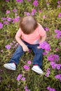 Little boy in the meadow of purple flowers on a sunny day, child in field of flowers Royalty Free Stock Photo