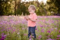 Little boy in the meadow of purple flowers on a sunny day, child in field of flowers Royalty Free Stock Photo