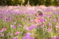 Little boy in the meadow of purple flowers on a sunny day, child in field of flowers Royalty Free Stock Photo