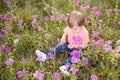 Little boy in the meadow of purple flowers on a sunny day, child in field of flowers Royalty Free Stock Photo