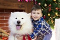 A boy with a big dog at Christmas. Royalty Free Stock Photo