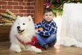 A boy with a big dog at Christmas. Royalty Free Stock Photo