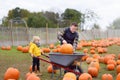 Little boy and men on a tour of a pumpkin farm at autumn. Father and son choosing giant pumpkin on field and load it into Royalty Free Stock Photo