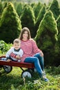 little boy and mom with red wagon in pine wood. The child chooses a Christmas tree Royalty Free Stock Photo