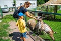 little boy with mother feeding goats in contact zoo Royalty Free Stock Photo