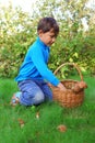 Little boy with mushrooms Royalty Free Stock Photo