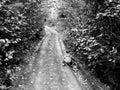 Little boy on a old path Royalty Free Stock Photo