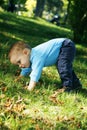 Little boy outdoors