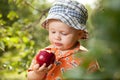 Little boy in panama with red apple Royalty Free Stock Photo