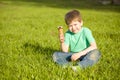 Little boy in park eating ice cream Royalty Free Stock Photo