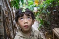 The little boy with Phyllium bioculatum on his head looks up curiously Royalty Free Stock Photo