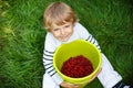Little boy picking raspberry on organic self pick farm Royalty Free Stock Photo