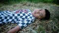 a little boy on a pile of dry hay