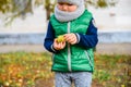 Little boy play with chestnuts in autumn day Royalty Free Stock Photo